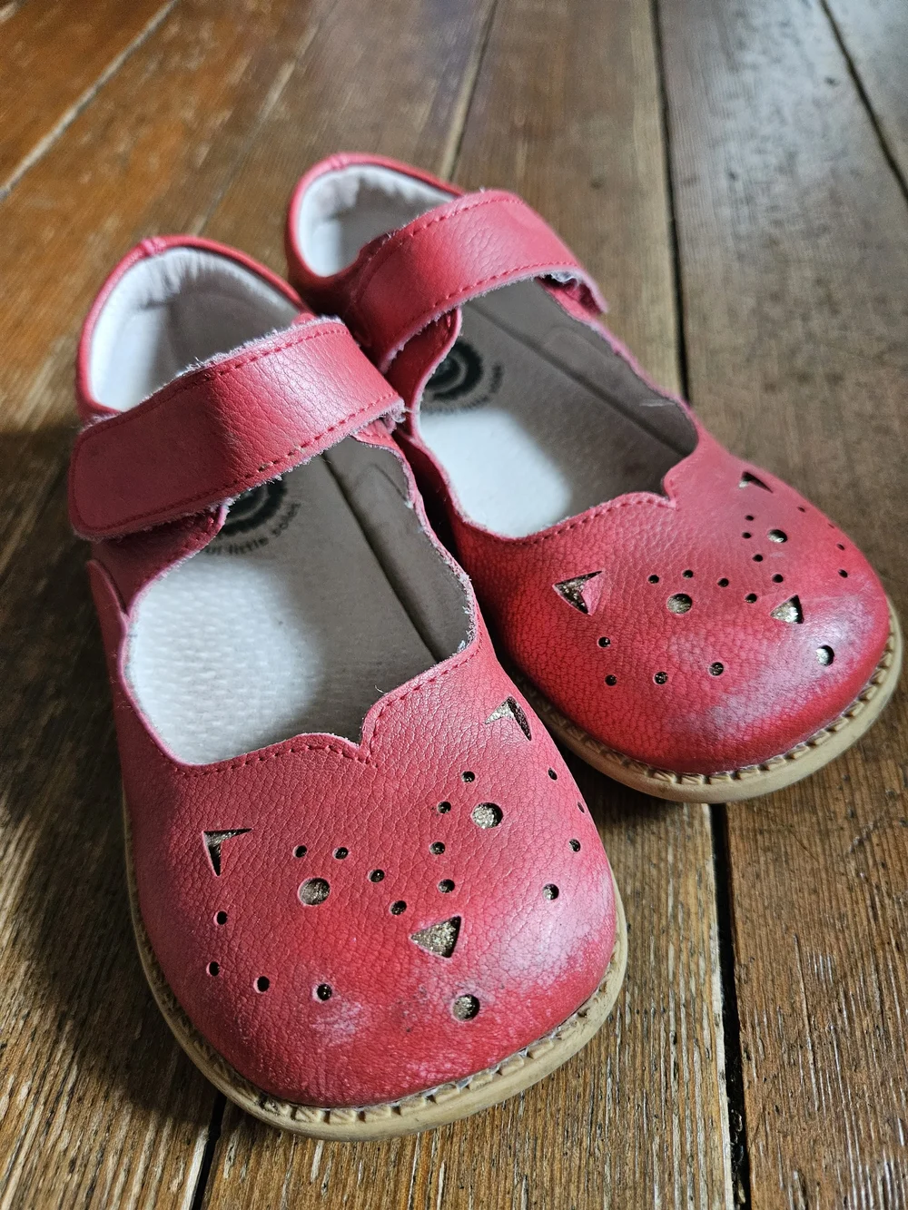 Livie & Luca Red Mary Jane Cat Cutout Shoes